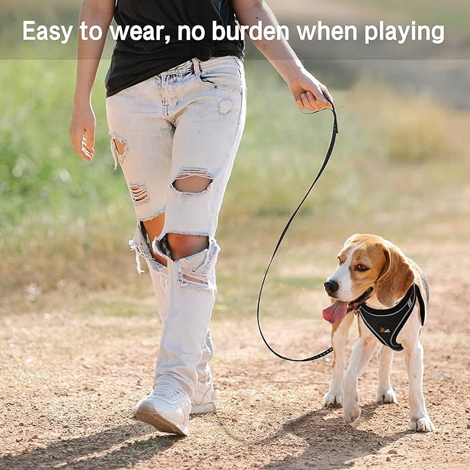 Step-in Air Dog Harness and Dog Leash- All Weather Mesh Step in Vest Harness for Small and Medium Dogs, Reflective Harness and 5FT Leash for Confident Walking at Night (Black,X-Large)