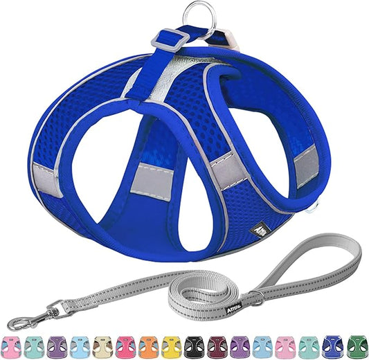 AIITLE Small Harness for Puppy with A Leash - Spring Dog Vest Harness with Super Breathable Mesh, Reflective No-Pull Pet Harness for Outdoor Walking, Camping for Small Dogs, Cats Royal Blue XXS