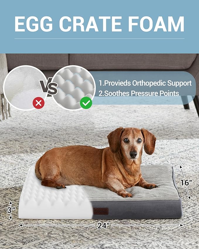 OhGeni 24 Inch Orthopedic Waterproof & Machine Washable Dog Bed with Egg Crate Foam Support, Non-Slip Bottom and Removable Pet Bed Cover for Extra Large, Large, Medium, Small Dogs (Gray)