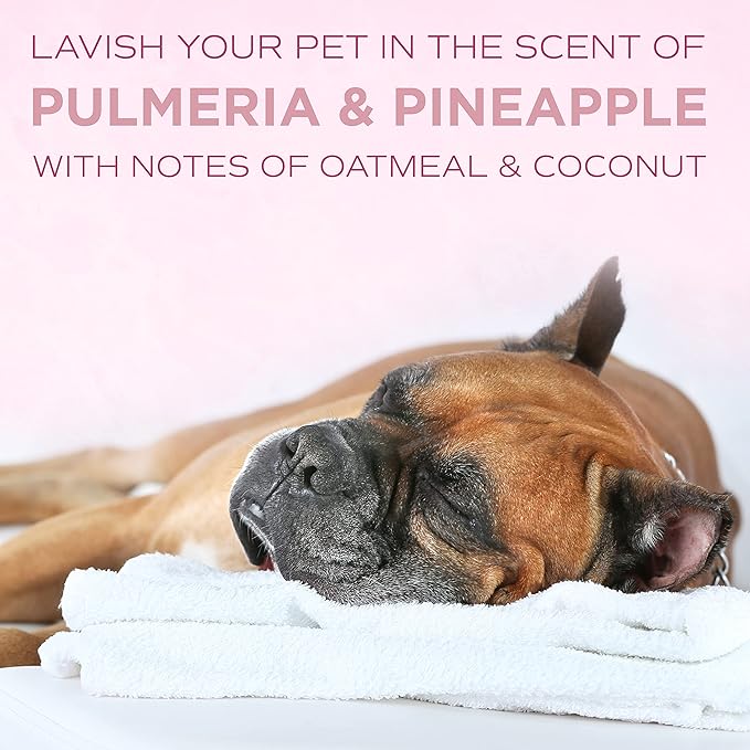 TropiClean SPA Lavish Dog Shampoo | Pure Tearless Hypoallergenic Dog Shampoo | Naturally Derived Salon Grade Ingredients | Made in the USA | 1 Gallon