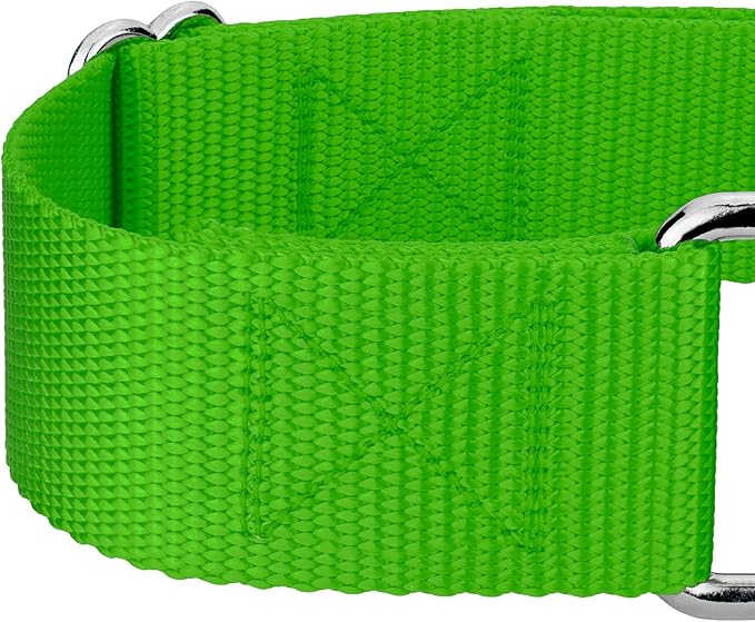 Country Brook Petz 1 1/2 Inch Martingale Heavy Duty Nylon Adjustable Dog Collar for Small, Medium, Large Breeds - Vibrant 17 Color Selection (Hot Lime Green, Large)