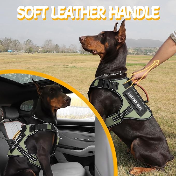 Tactical Dog Harness - HEYCAHVA Service Dog Vest Full Metal Buckles Dog Vest for Medium Large Dog Reflective No Pull Dog Harnesses Vest with Leather Handle, Hook & Loop for Hiking Training (Green, M)