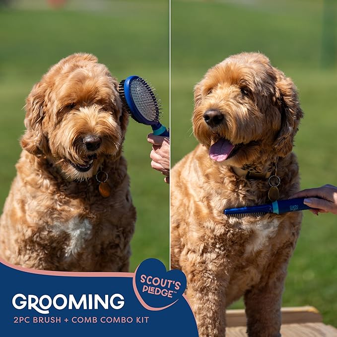 Good Scout 2-Piece Deshedding Tool Set with Comb & Soft Bristle Brush, Best Deshedding Tool for Dogs & Cats, Gentle, Safe & Effective Grooming Tool for Short or Long Haired Animals