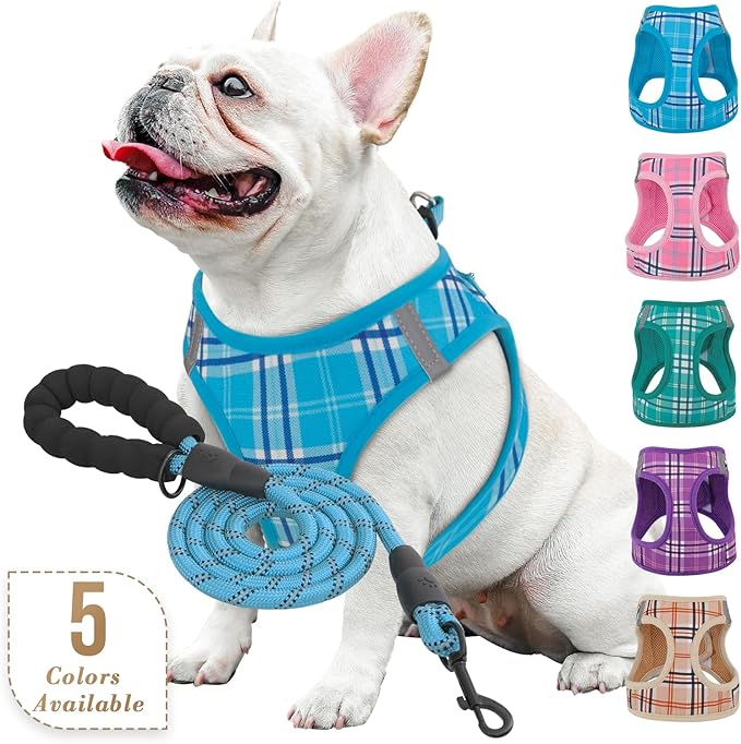 Athena Collection Step-in Dog Harness with 5 ft Leash, Medium Dog Harness Leash Set Large No Pull Dog Vest Harness with Reflective Strips Adjustable Velcro, Easy Walk Dog Harness, Blue