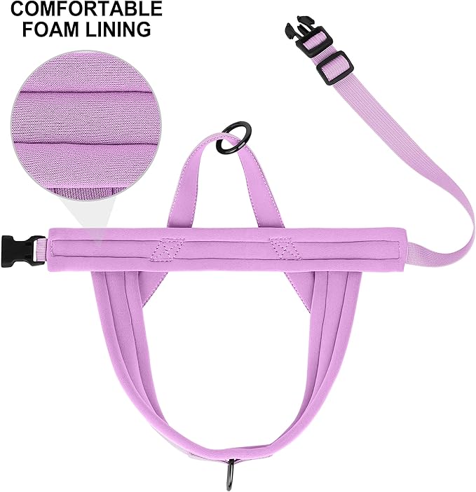 Beirui No Pull Dog Harness for Small Medium Dogs Puppies, Soft Neoprene Quick Fit Harness with Durable Front Clip & Back Clip, Lightweight Easy for Daily Walking (Purple,S)