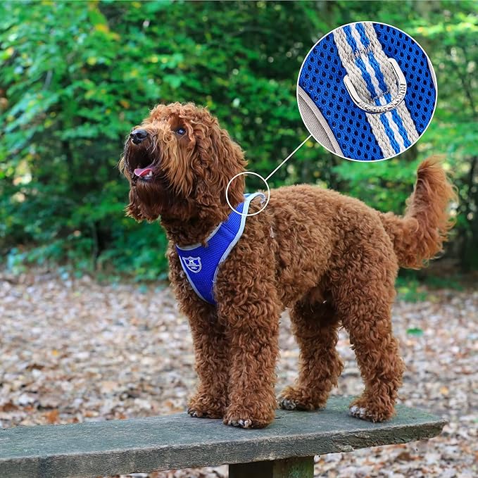 HUGO & HUDSON Dog Harness No-Pull Pet Harness Adjustable Quick Dry Mesh Padded Vest, Royal Blue, S