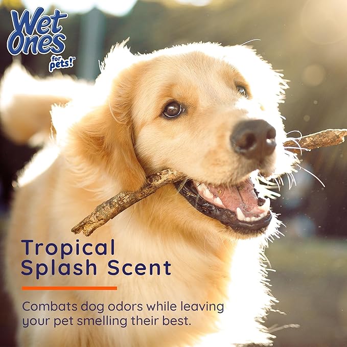 Wet Ones for Pets Antibacterial Heavy Duty Paw Wipes, 50ct, Tropical Splash Scent | Thick Dog Cleaning Wipes, Durable Disposable Dog Wipes for Paws, Scented Dog Wipes