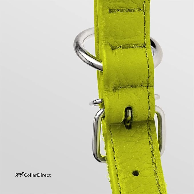 CollarDirect Rolled Leather Dog Collar, Soft Padded Round Puppy Collar, Handmade Genuine Leather Collar Dog Small Large Cat Collars 13 Colors (6-7 Inch, Lime Green Textured)