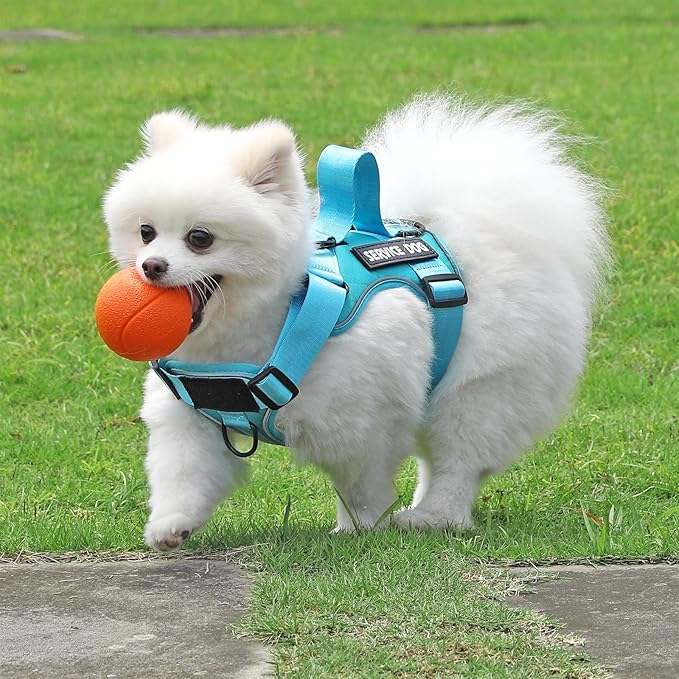 Demigreat Service Dog Harness, Reflective Dog Vest Harness with 5 PCS Patches, Adjustable Soft Oxford Pet Harness, Inner Layer Mesh, Easy to Control for Small Medium Large Dogs