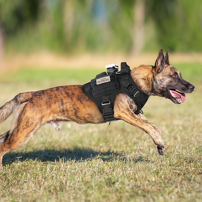 rabbitgoo Tactical Dog Harness for Large Dogs, Heavy Duty Dog Harness with Handle, No-Pull Service Dog Vest Large Breed, Adjustable Military Dog Vest Harness for Training Hunting Walking, Black, L