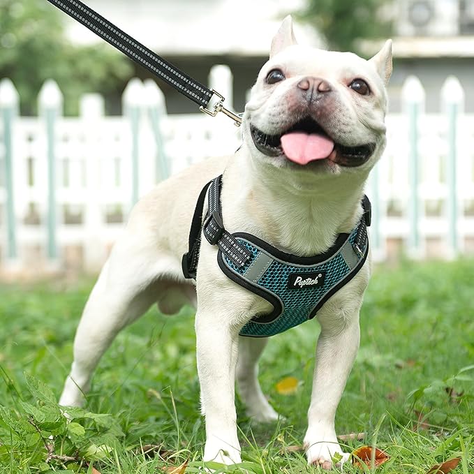 PUPTECK No Pull Dog Harness and Leash Set Reflective No Choke Step in Puppy Halter for XS Small and Medium Sized Dogs, Turquoise, Breathable Mesh, L