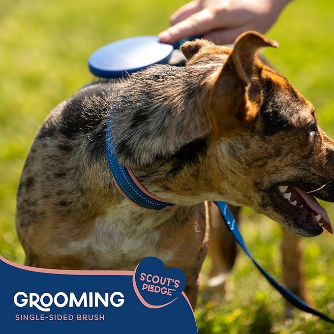 Good Scout Soft Steel Tip Brush, Best Deshedding Tool for Dogs & Cats, Gentle, Safe & Effective Pet Grooming Tool for Long & Short Haired Animals