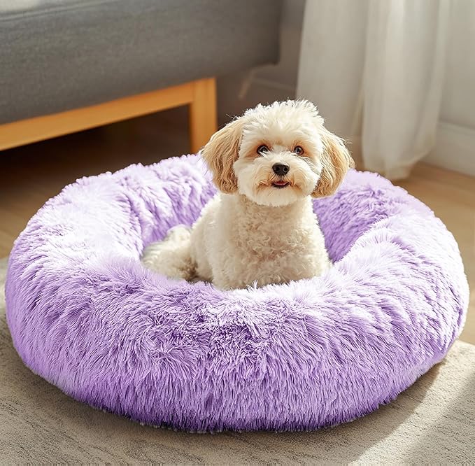 JOLLYVOGUE Dog Beds, Calming Small Dog Bed, Anti-Anxiety Dog Bed for Small Dogs, Fluffy Donut Dog Bed, Cozy Dog Cat Cushion Bed for Small Medium Dogs (24")