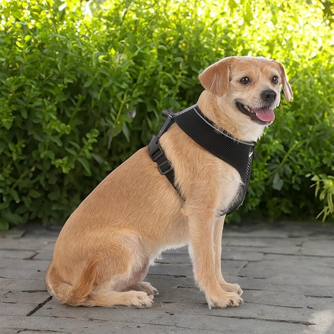 Voyager Aerolite No Pull Mesh Dog Harness with Lightweight, Soft, Breathable, Reflective Stitching, and Adjustable Straps for Walking, Running, Training, Heavy Duty and Durable - Black, XS
