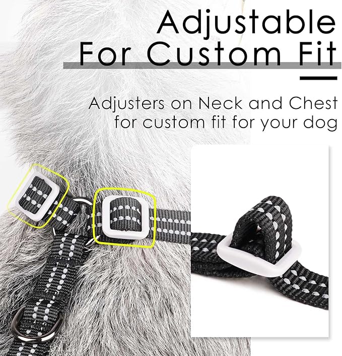 ThinkPet Harness and Leash Set Reflective Breathable Soft Air Mesh No Pull Puppy Choke Free Over Head Vest Ventilation Harness with Leash for Puppy Small Medium Dogs and Cats