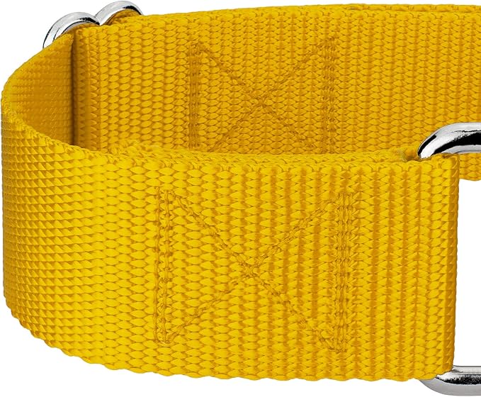 Country Brook Petz 1 1/2 Inch Martingale Heavy Duty Nylon Adjustable Dog Collar for Small, Medium, Large Breeds - Vibrant 17 Color Selection (Gold, Medium)