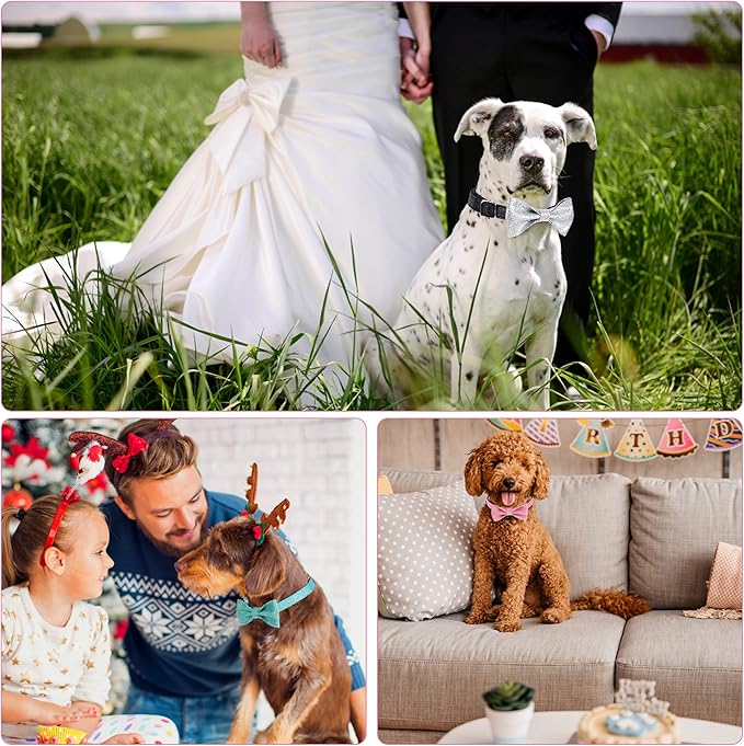 Bling Bow Tie Dog Collar and Leash Set, Cute Teal Boy Dog Collar with Bow and 5ft Leash for Small Medium Dogs Daily Walking or Christmas Holiday (Neck fit 11-16’’)