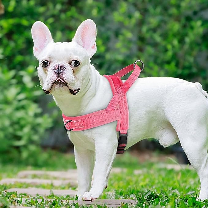 Beirui No Pull Dog Harness for Small Medium Dogs Puppies, Soft Neoprene Quick Fit Harness with Durable Front Clip & Back Clip, Lightweight Easy for Daily Walking (Pink,S)