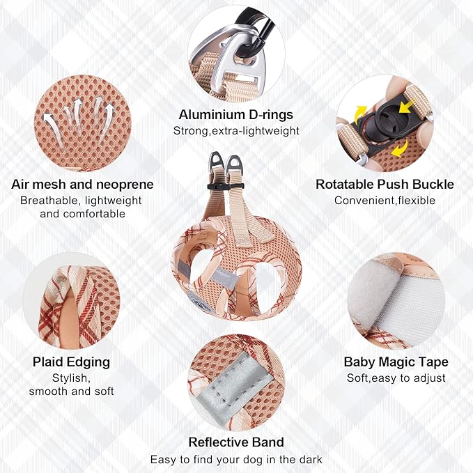 BEAUTYZOO Harness & Leash Set for Small Dogs, No Pull Step-in Harness for Puppy Medium Dogs and Cats, Air Mesh Adjustable Breathable Soft No Chock Escape Proof ,XS (Chest: 13.5-15 IN)*Including Leash