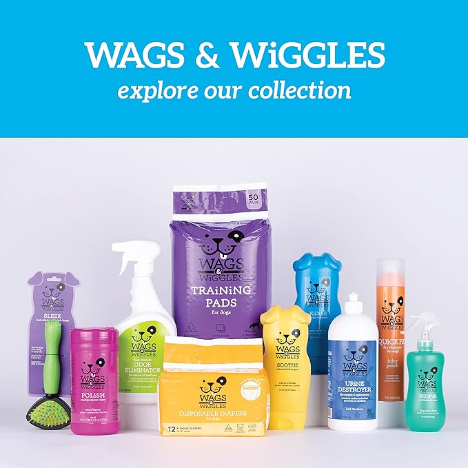 Wags & Wiggles Freshen Deodorizing Dog Shampoo in Very Berry Scent | Odor Control for Smelly Dogs, 16 Ounces (Pack of 2)