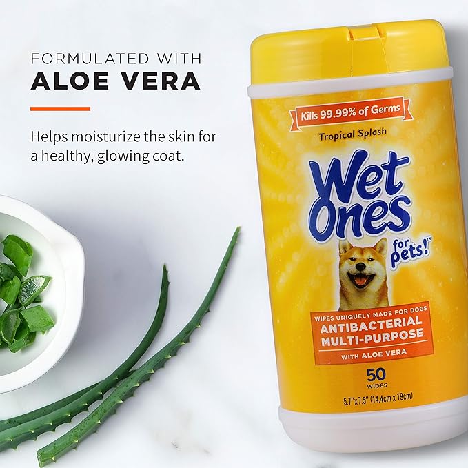 Wet Ones for Pets Multi-Purpose Dog Wipes with Aloe Vera, 50 Count - 3 Pack | Dog Wipes for All Dogs in Tropical Splash, Wipes for Paws & All Purpose