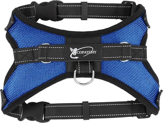 No Pull Reflective Adjustable Dog Harness With Handle- Comfortable Soft All Weather Mesh, Easy On Puppy Harness For Small Medium and Large Dogs (Blue) Medium