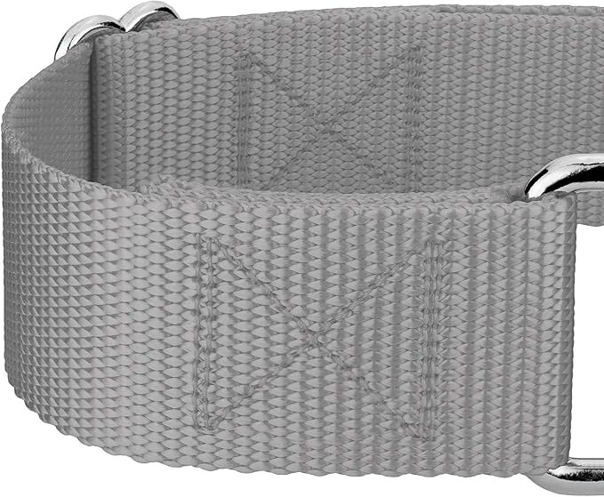 Country Brook Petz 1 1/2 Inch Martingale Heavy Duty Nylon Adjustable Dog Collar for Small, Medium, Large Breeds - Vibrant 17 Color Selection (Silver, Large)