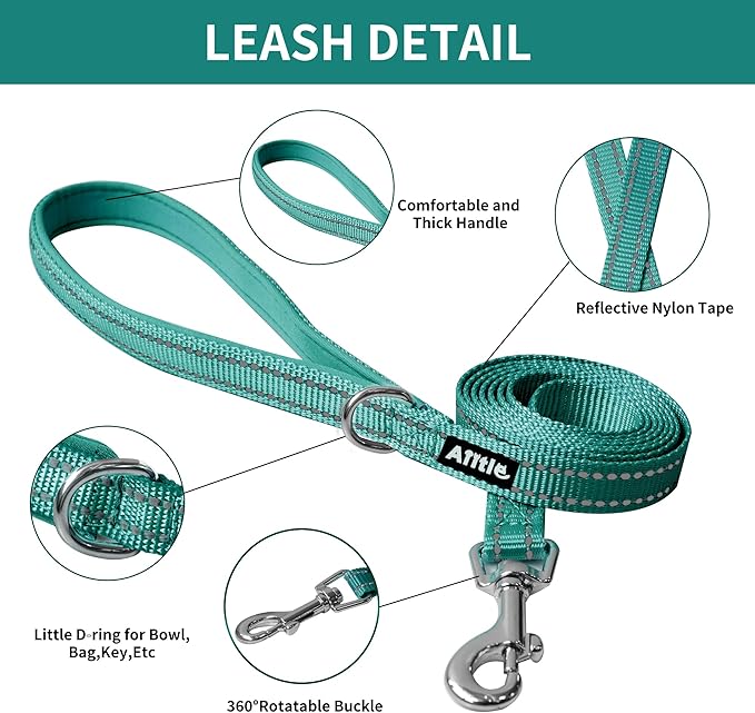 AIITLE Escape Proof Dog Harness - Step in Adjustable Dog Harness No Choke Over with Breathable Mesh for Spring- Outdoor Walking, Camping, Training for Medium Dogs Turquoise XL
