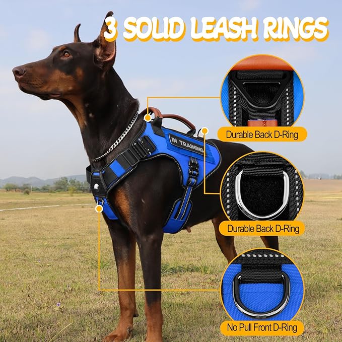 Service Dog Vest - HEYCAHVA Tactical Dog Harness Full Metal Buckles Dog Vest for Large Medium Dog Reflective No Pull Dog Harnesses with Leather Handle, Hook & Loop for Hiking Training (Blue, L)