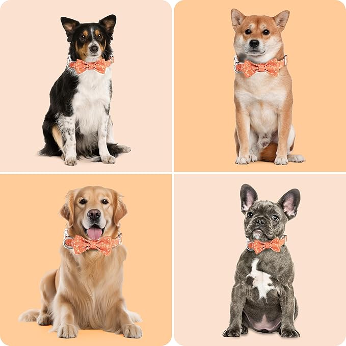 Dog Collar with Bow for Small Medium Large Dogs, Cute Bling Dog Bow Tie Collar with Metal Buckle, Soft & Durable for Medium Dogs Walking (Orange, M)