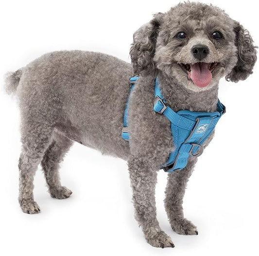Kurgo Tru-Fit Smart Harness, Dog Harness, Pet Walking Harness, Quick Release Buckles, Front D-Ring for No Pull Training, Includes Dog Seat Belt Tether (Blue, Small)