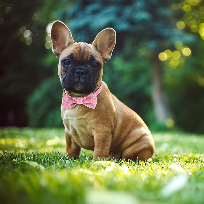 Bling Dog Bow Tie Collar for Puppy Small Dogs and Cats, Cute Pink Girl Dog Collar with Bow for Daily Walking or Holiday Party (Neck fit 9-12’’)