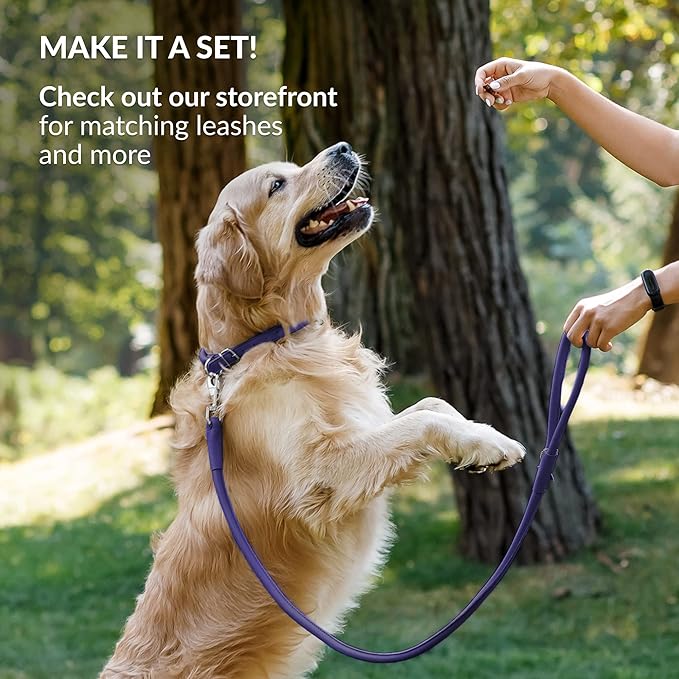 CollarDirect Rolled Leather Dog Collar, Soft Padded Round Puppy Collar, Handmade Genuine Leather Collar Dog Small Large Cat Collars 13 Colors (6 Inch, Purple Smooth)