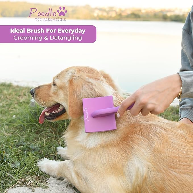 Slicker Brush for Dogs - Detangling Dog Brushes for Grooming with Soft Bristles & long Pins - Professional Cat Deshedding Tool to Removes Tangles & Dirt (Medium)