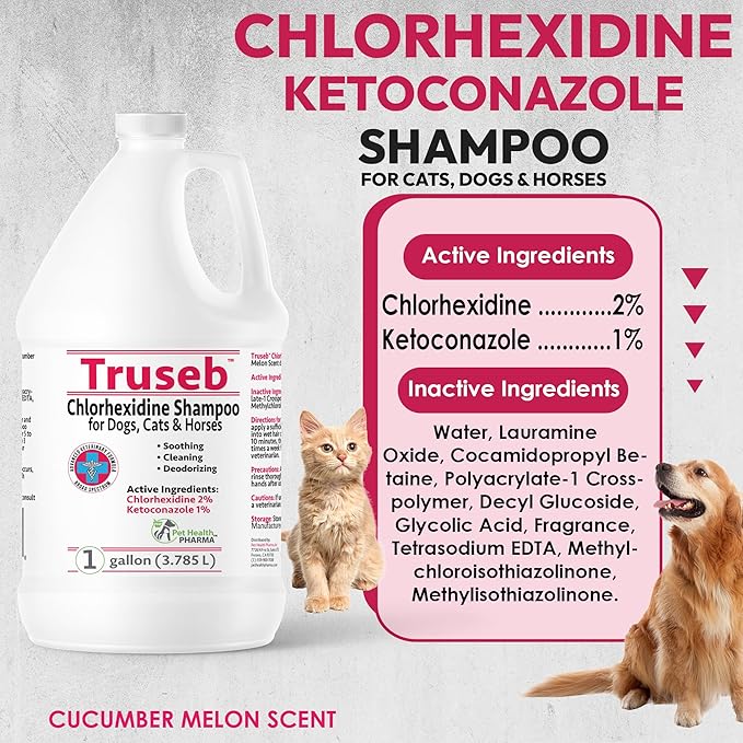 Truseb All Natural Topical Ketoconazole and Chlorhexidine Shampoo for Dogs, Cats & Horses with Aloe Vera Shampoo and Conditioner(Ketoconazole & Chlorhexidine Shampoo, 1 Gallon)