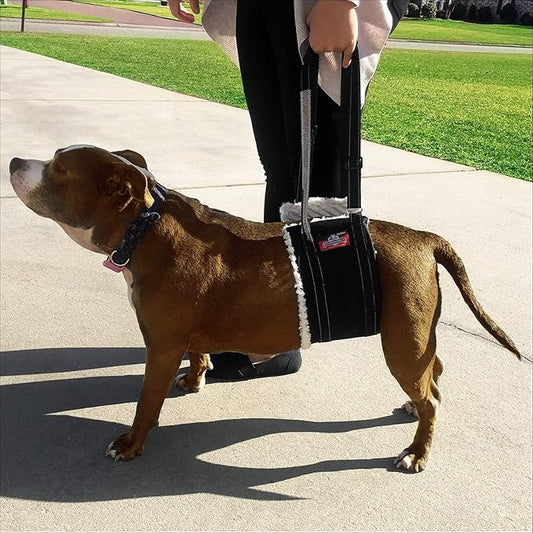 Updog Hind Leg Support Harness Dog Lifter, Dog Sling (Large, Black)