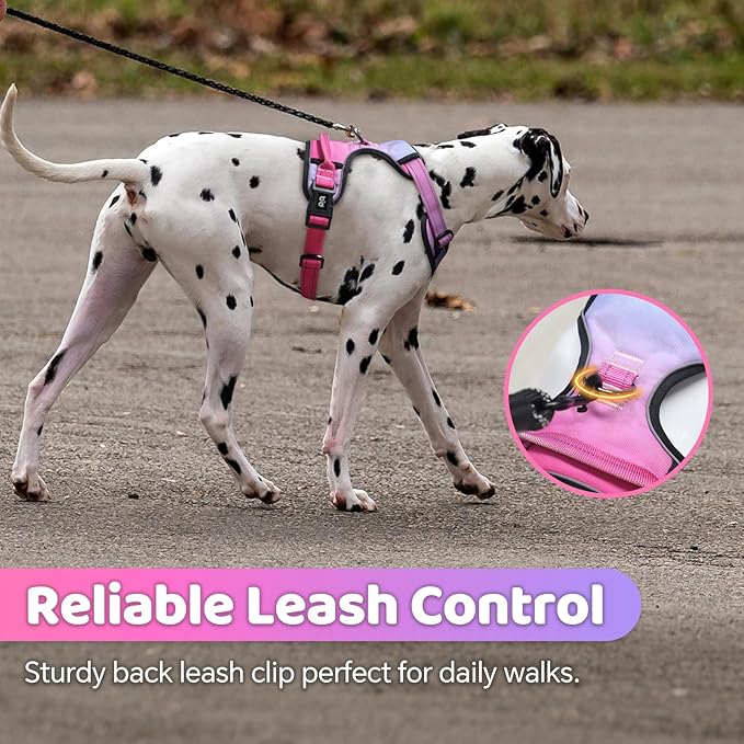 QQPETS No Pull Dog Harness with 2 Leash Clips,Adjustable Soft Padded Dog Vest, Reflective Outdoor Pet Oxford Vest with Easy Control Handle for Small to Large Dogs Walking Training