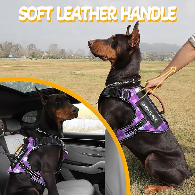 Service Dog Vest - HEYCAHVA Tactical Dog Harness Full Metal Buckles Dog Vest for Large Medium Dog Reflective No Pull Dog Harnesses Vest with Leather Handle, Hook & Loop for Hiking Training(Purple, L)