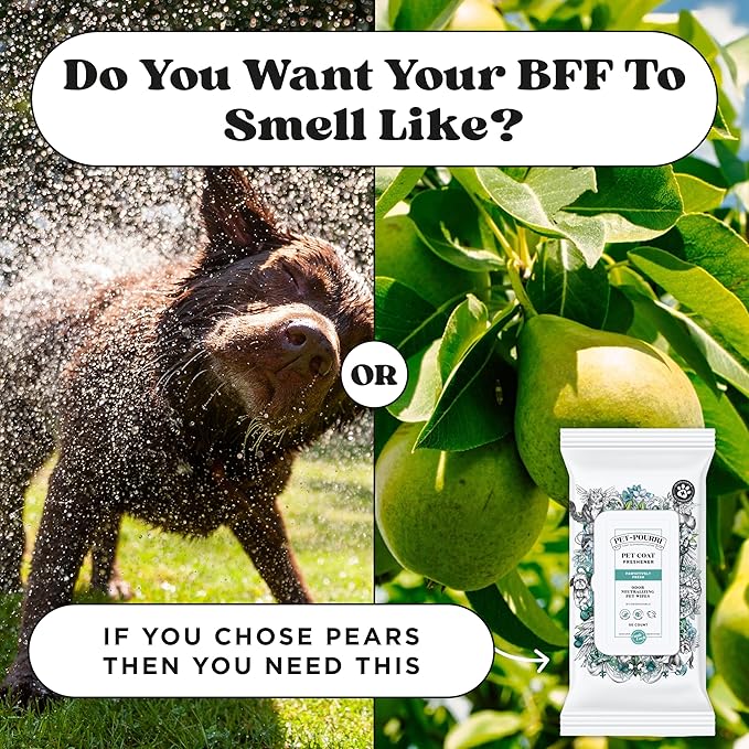 Pet-Pourri Pawsitively Fresh Deodorizing Pet Wipes – Quick Cleaning Wipes for Dogs & Cats – Plant Based Ingredients – Vet Recommended – Cleaner Odor Remover Wipes for Paw, Fur & Skin Soothing