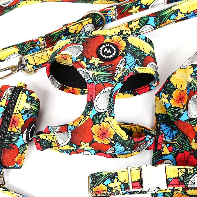 Angie and Allie Organic Cotton Dog Harness,No Pull Pet Harness with Leash D-Ring,Adjustable Soft Padded Dog Vest,Comfortable,Sustainable,Breathable and Stylish for Your Canine Companion