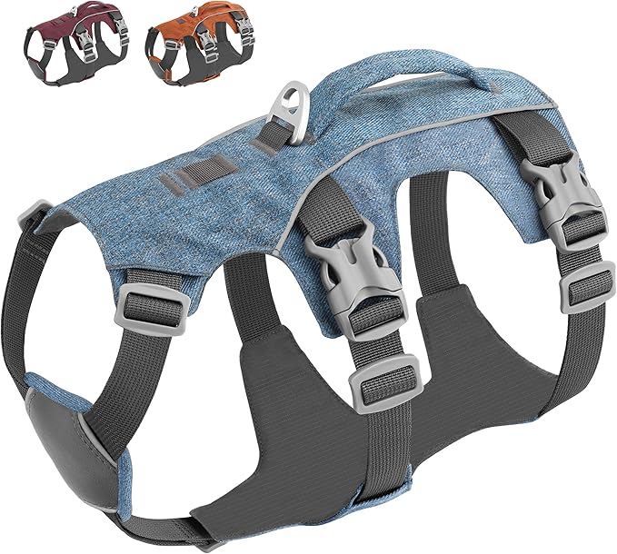 Small Dog Harness Escape Proof Dog Harness with Handle - Reflective Dog Vest, Breathable Soft Full Body Dog Harness for Small Dogs Walking, Training (Blue, S)