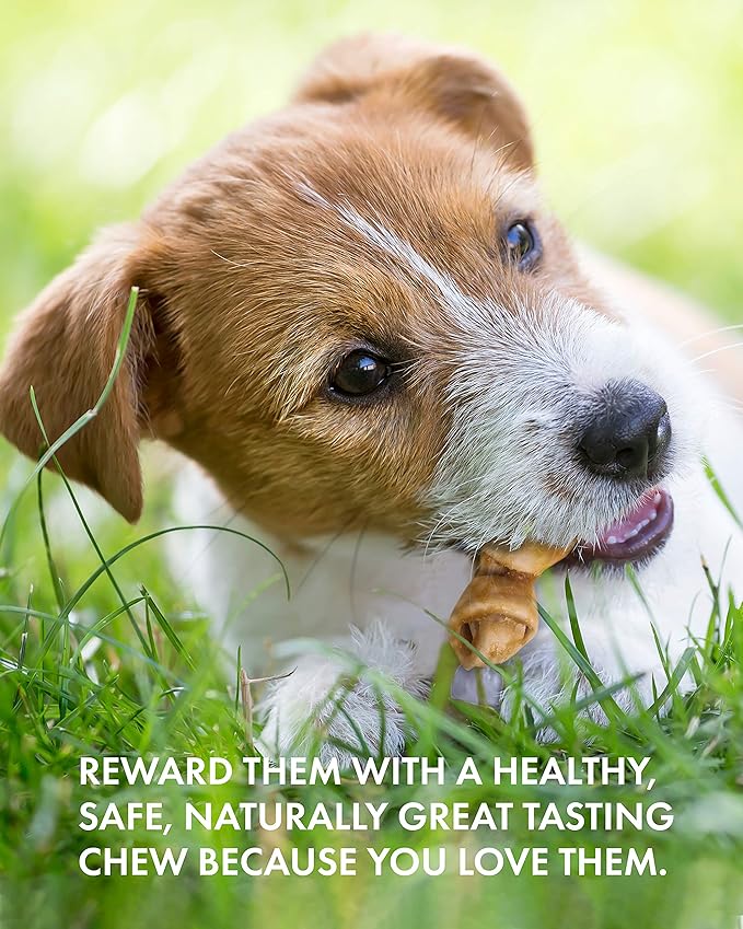 Canine Naturals Chicken Recipe Chew - Rawhide Free Dog Treats - Made from USA Raised Chicken - All-Natural and Easily Digestible - 12 Pack of Mini Knots for Dogs 5-20lb