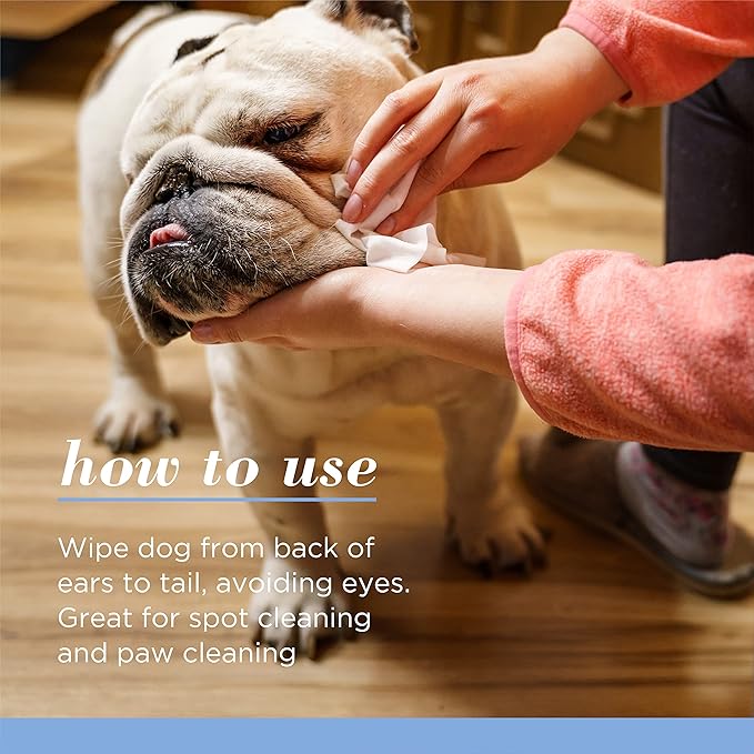 Burt's Bees for Pets Gentle Cleansing Puppy Wipes with Buttermilk, 98% Natural Origin Formulas, Hypoallergenic Dog Wipes Cleaning, Dog Cleaning Wipes, Dog Wipes for Paws and Butt, 50ct