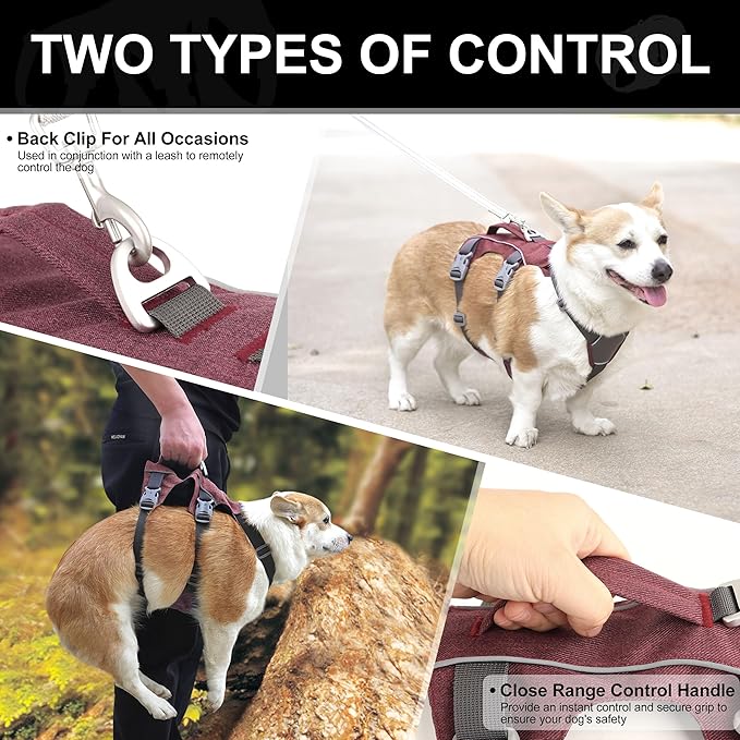 Escape Proof Dog Harness with Padded Handle - Reflective Dog Vest, Breathable Soft Full Body Pet Harness for Small Medium Dogs Walking, Training (Red, XS)