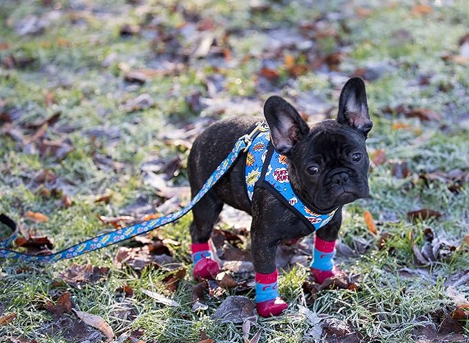 RC Pet Products Cirque Soft Walking Dog Harness, Large, Comic Sounds