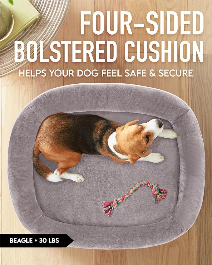 OhGeni Orthopedic Dog Bed for Large Dogs, Dog Couch Design with Egg Foam Support, Removable, Washable Plush Cover and Non-Slip Bottom with Four Sided Bolster Cushion (Purple)