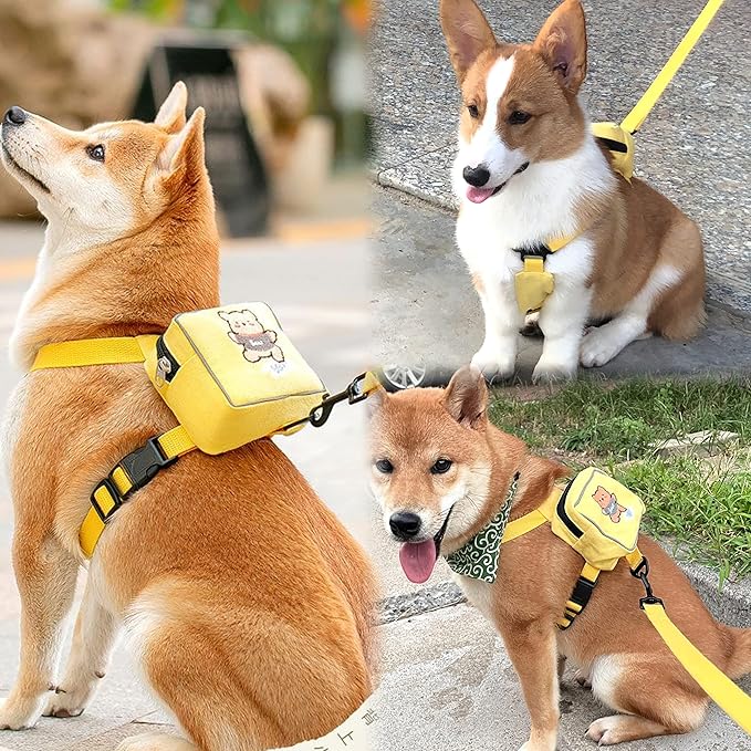 Dog Bag and Leash Set - Dog Bag Harness for Small Dogs Medium Dogs- Adjustable in Harness for Dogs (Medium 7-16 Ib)
