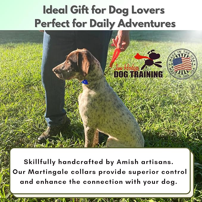 Martingale Collar for Dogs, Biothane, Stainless Steel Hardware, No Pull, Made in The USA, Professional Grade, Large, Blue