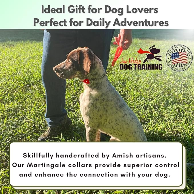 Martingale Collar for Dogs, Biothane, Stainless Steel Hardware, No Pull, Made in The USA, Professional Grade, XS, Red