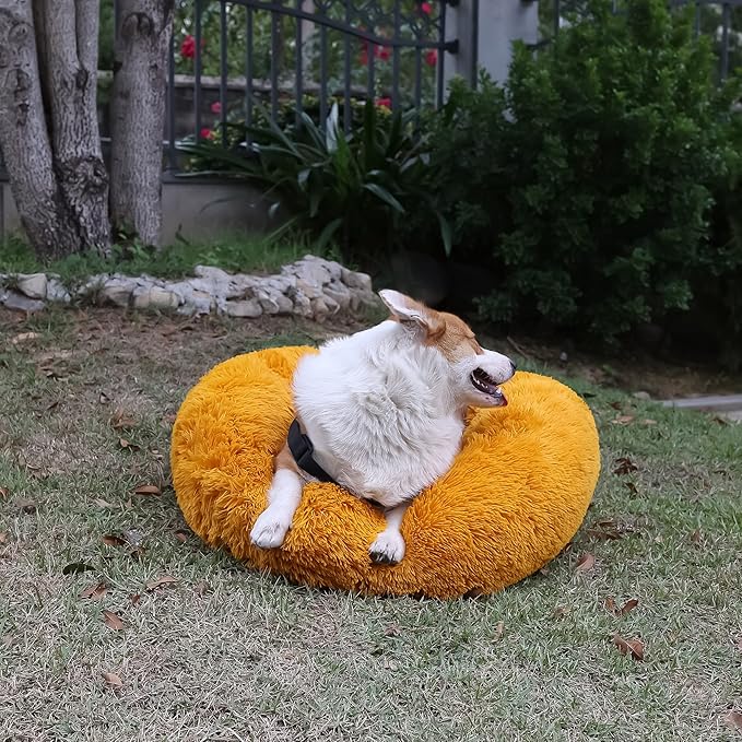 Pet Beds for Medium Dogs Calming Dog Bed 30 Inches Orange Dog Beds for Medium Dogs Washable Anti-Anxiety Dog Bed Medium Size Dog